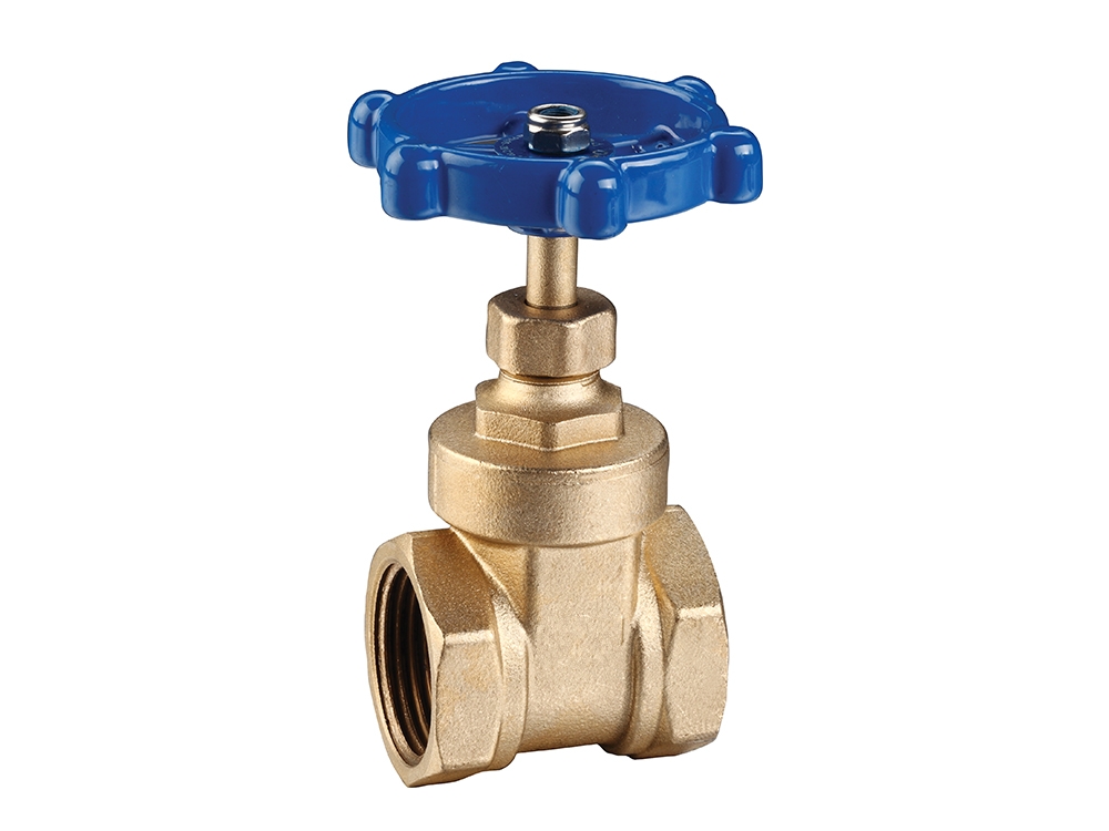 BAGV�S�~�z���l�y